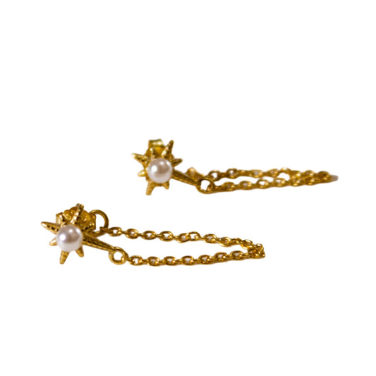 Eleni star earrings